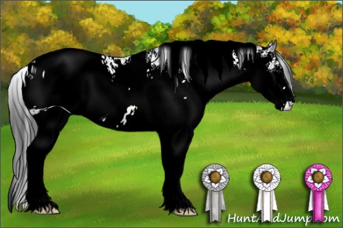 Horse Color:ERROR: UNKNOWN ANOMALY