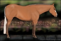 Horse Color:Silver Bay 