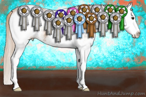 Horse Color:White Spotted Chestnut Splash Appaloosa 