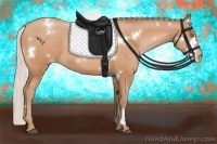 Horse Color:White Spotted Silver Bay Pearl Appaloosa