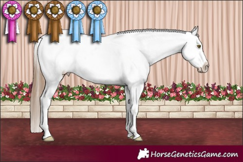 Horse Color:Liver Chestnut Pearl Appaloosa 