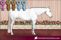 Horse Color:Liver Chestnut Pearl Appaloosa 