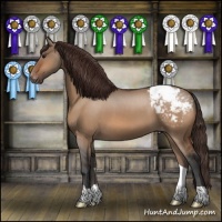 Horse Color:Bay Dun Snowcap 