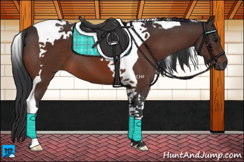 Horse Color:Brown Tobiano