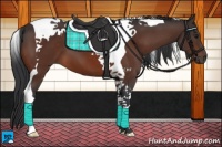 Horse Color:Brown Tobiano