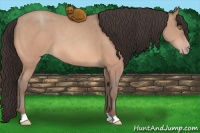 Horse Color:Sable Champagne 