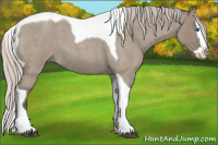 Horse Color:Silver Grullo Roan Splash Tobiano 