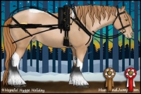 Horse Color:Red Roan Pearl Tobiano