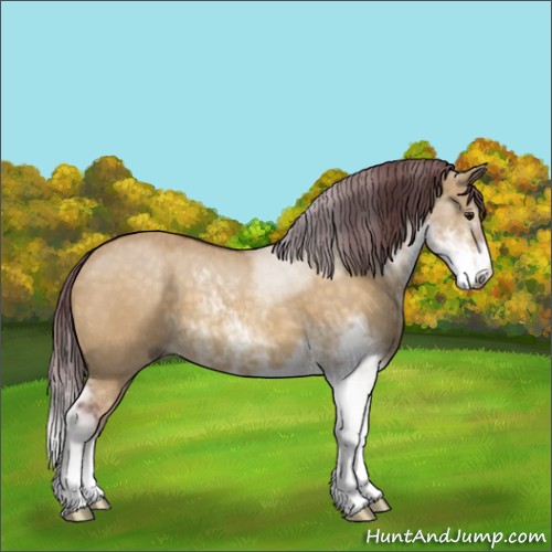 Horse Color:Chocolate Buckskin Dun Sabino 