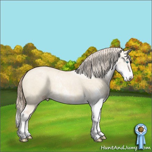 Horse Color:Chocolate Perlino Dun Sabino