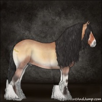 Horse Color:Bay Roan Onyx 