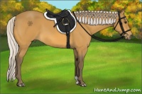 Horse Color:Silver Buckskin 