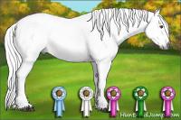 Horse Color:Gray Bay Dun Varnish