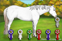 Horse Color:Red Dun Varnish 