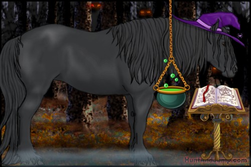 Horse Color:Black 