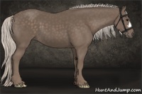 Horse Color:Silver Black 