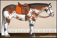 Horse Color:Bay Splash 