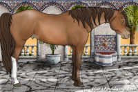 Horse Color:Gray Bay Pearl