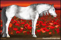 Horse Color:White Spotted Black Splash