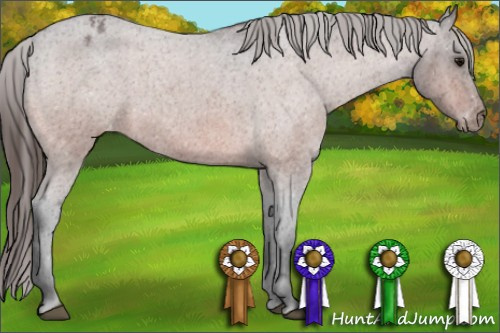 Horse Color:Bay Roan Varnish 