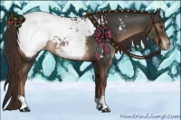 Horse Color:Liver Chestnut Snowcap 