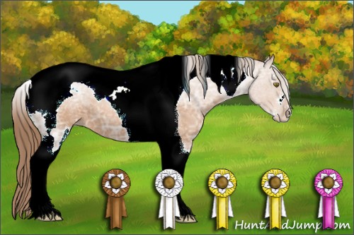 Horse Color:Bay Ice Pearl Sabino Tobiano 