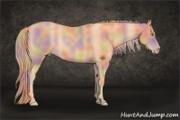 Horse Color:Nacre Gold Champagne