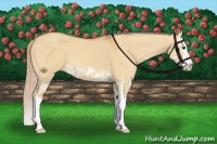 Horse Color:Palomino Dun Splash and Palomino Dun Splash