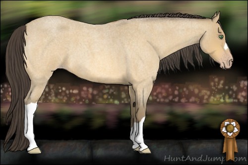 Horse Color:Amber Cream Champagne Roan 