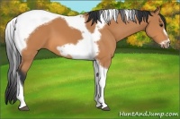 Horse Color:Bay Tobiano Frame