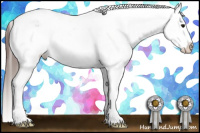 Horse Color:White Spotted Bay Varnish