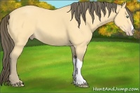 Horse Color:Amber Cream Champagne 