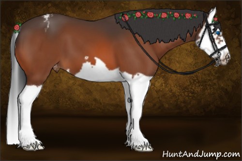 Horse Color:Bay Splash Frame Blanket 