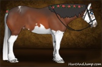 Horse Color:Bay Splash Frame Blanket