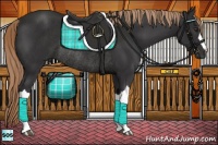 Horse Color:Liver Chestnut Rabicano 