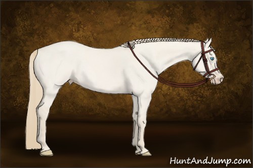 Horse Color:Smoky Creme Roan Dun