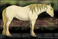 Horse Color:Watercolor Gold Champagne Roan Dun Frame 