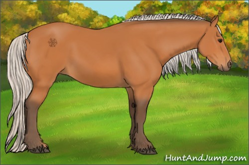 Horse Color:Silver Bay 