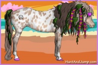 Horse Color:Amber Champagne Roan Near Leopard  and Amber Champagne Roan Near Leopard 