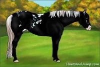 Horse Color:Brown Ice Pearl Sabino