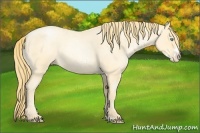 Horse Color:Buckskin Roan Pearl  and Buckskin Roan Pearl Frame 