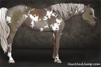 Horse Color:White Spotted Silver Black