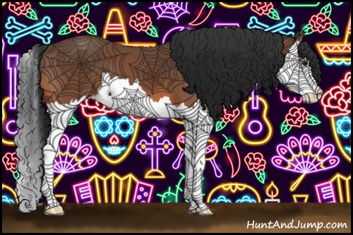 Horse Color:Bay Splash 