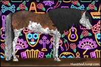 Horse Color:Bay Splash 