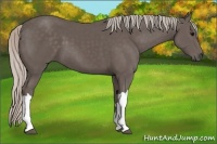 Horse Color:Silver Black 