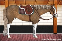 Horse Color:Chocolate Palomino Splash