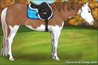 Horse Color:Chestnut Splash 