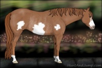 Horse Color:Chestnut Frame Rabicano 