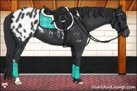Horse Color:Black Appaloosa