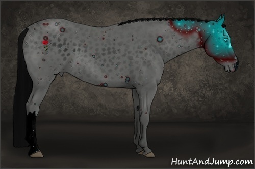 Horse Color:ERROR: UNKNOWN ANOMALY